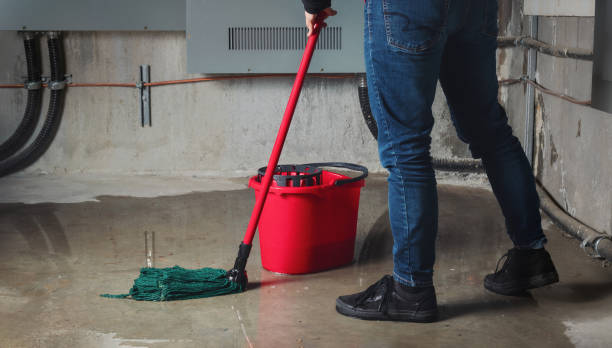 Best Ceiling water damage repair  in Merrill, IA