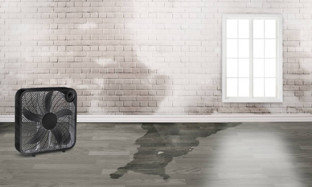 Best 24-hour water damage restoration  in Merrill, IA